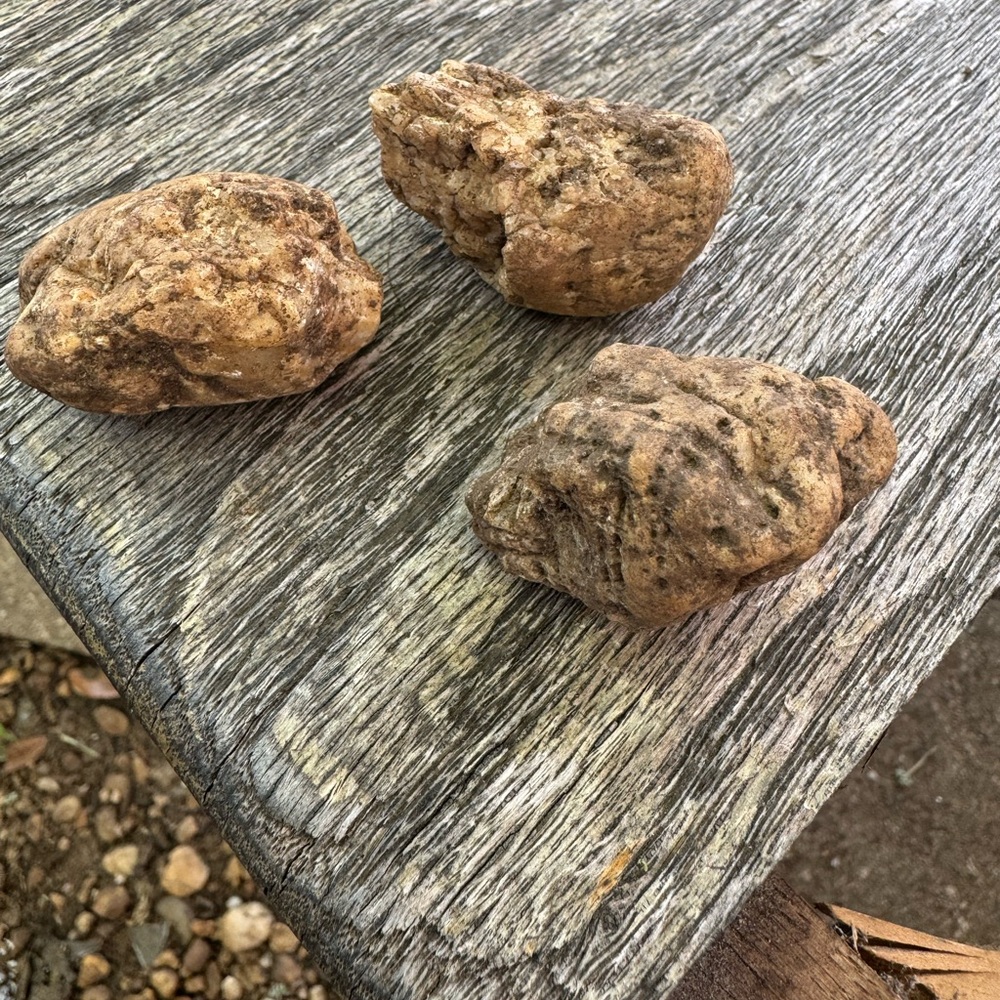 Mokacrystal, hand picked, prehistoric nodules, crystalline